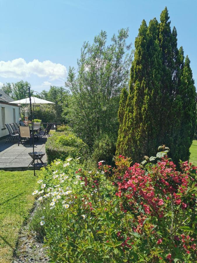 Wellstone Cottages - Honey Coach House Llanfyrnach Екстериор снимка